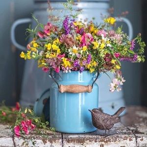 Meet your Posher, Jo